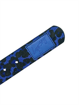 Loosey Blue Studded Cheetah Belt