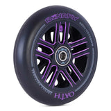Color:Black and Purple