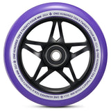 Color:Purple and Black