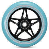Color:Teal and Black