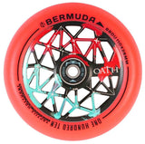 Color:Black Red and Teal