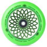 Color:Green
